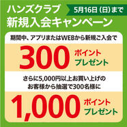 ハンズクラブ 新規入会で最大1,300ポイントプレゼント！