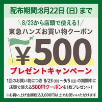 店頭でのご購入で8/23(月)から使える500円券プレゼント！　～8/22(日)